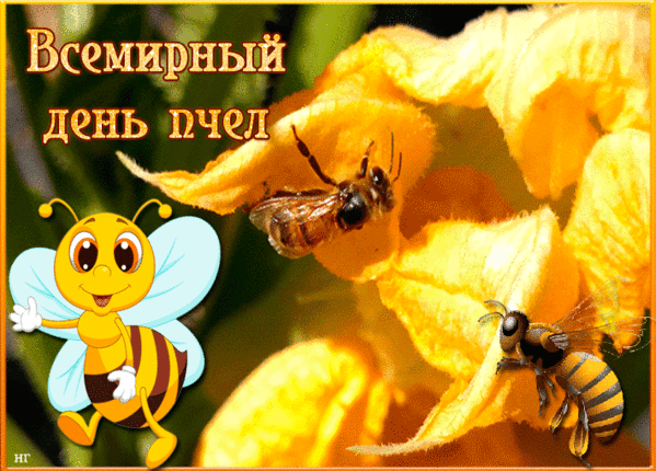 Гифки и мерцающие открытки со Всемирным днем пчел