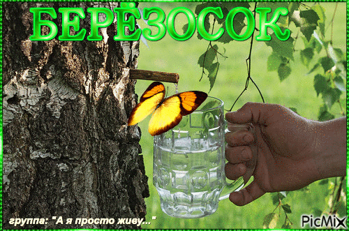 Березосок: гифки и мерцающие открытки