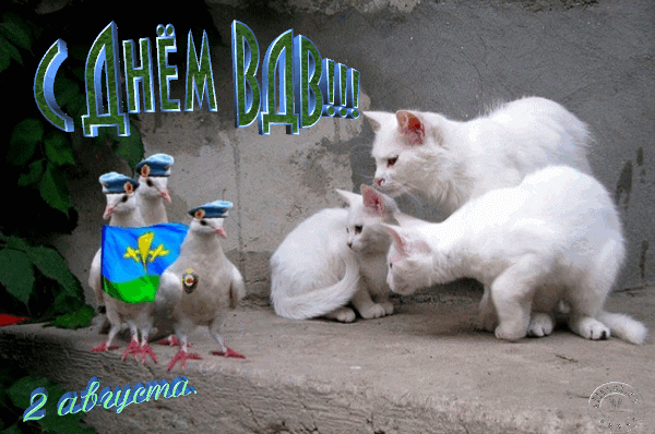 Гифки и мерцающие открытки на День ВДВ