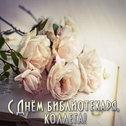 Красивые картинки с Днем библиотекаря