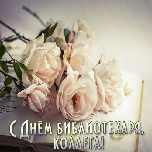 Красивые картинки с Днем библиотекаря