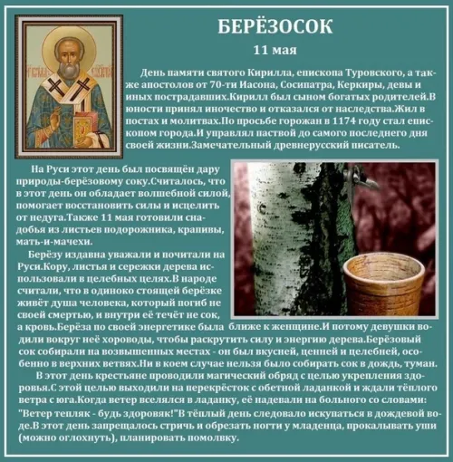Красивые картинки на Березосок