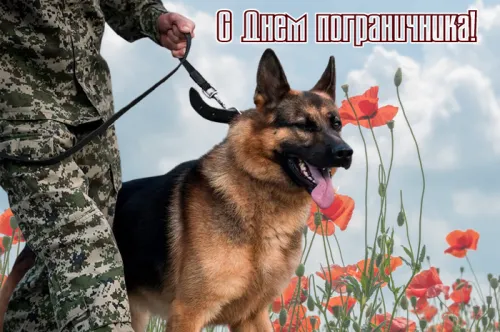 Картинки с надписями и поздравлениями с Днем пограничника