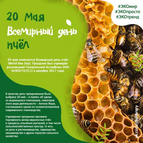 Красивые открытки с Днем пчёл