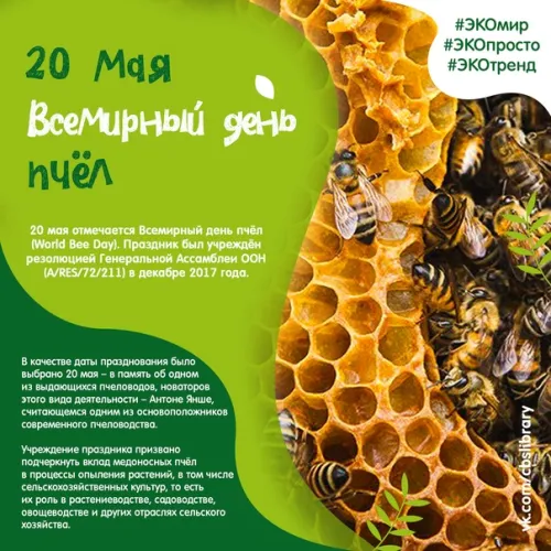 Красивые открытки с Днем пчёл