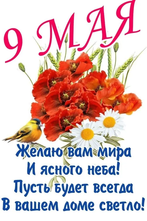Красивые картинки с Днем Победы