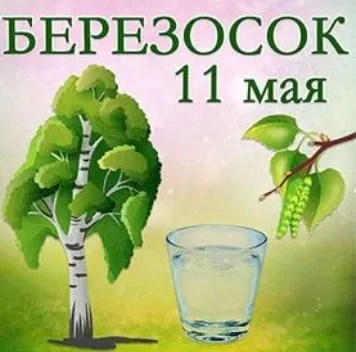 Красивые картинки на Березосок
