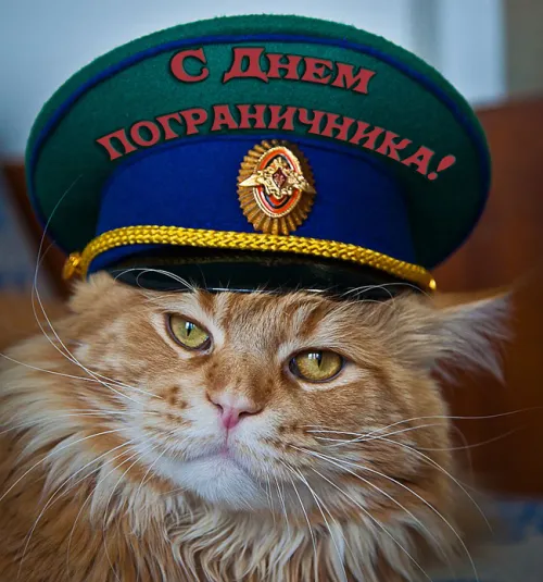 Картинки с надписями и поздравлениями с Днем пограничника
