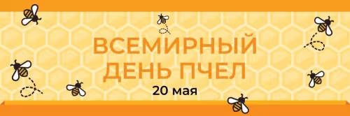 Красивые открытки с Днем пчёл