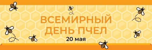 Красивые открытки с Днем пчёл