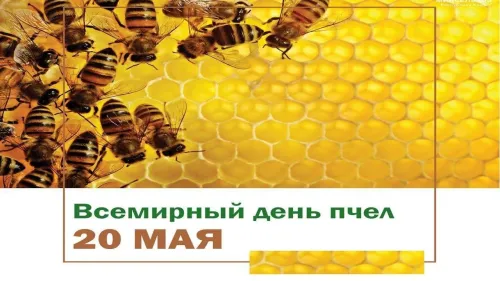 Красивые открытки с Днем пчёл