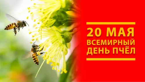 Красивые открытки с Днем пчёл