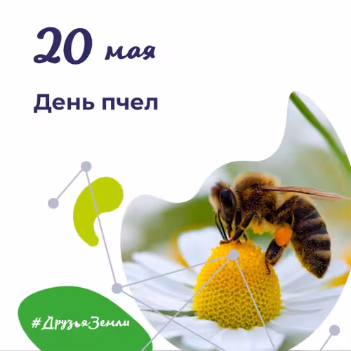 Красивые открытки с Днем пчёл