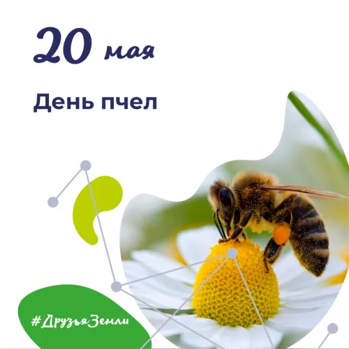 Красивые открытки с Днем пчёл
