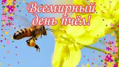 Красивые открытки с Днем пчёл