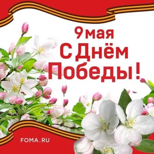 Красивые картинки с Днем Победы