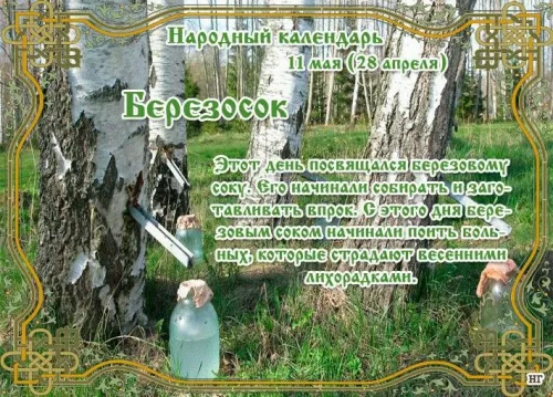 Красивые картинки на Березосок