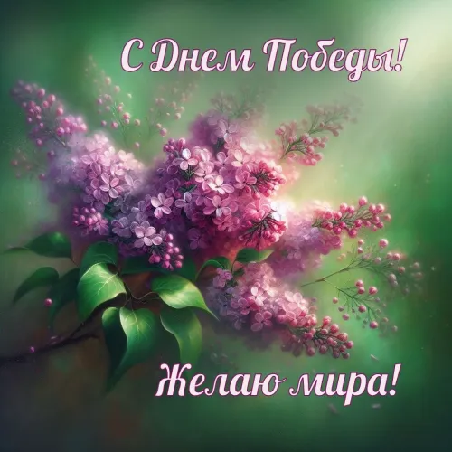 Красивые картинки с Днем Победы