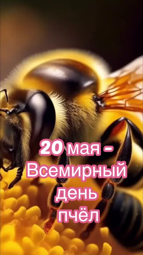 Красивые открытки с Днем пчёл