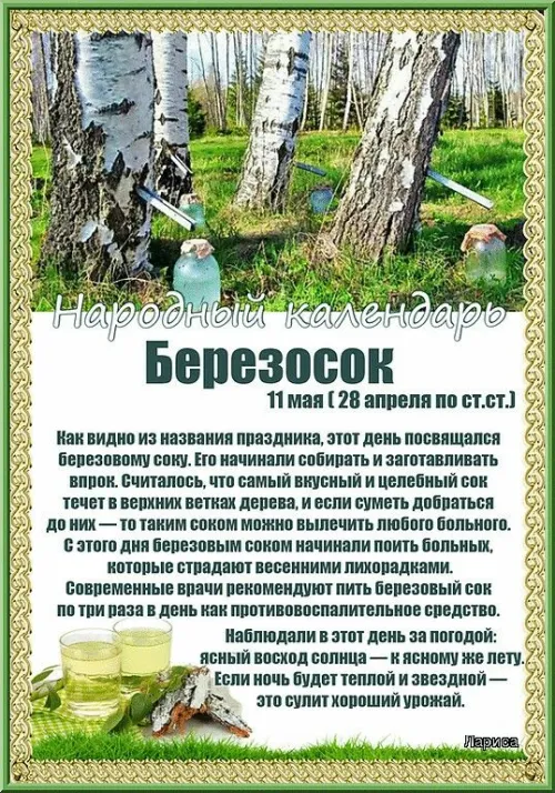 Красивые картинки на Березосок