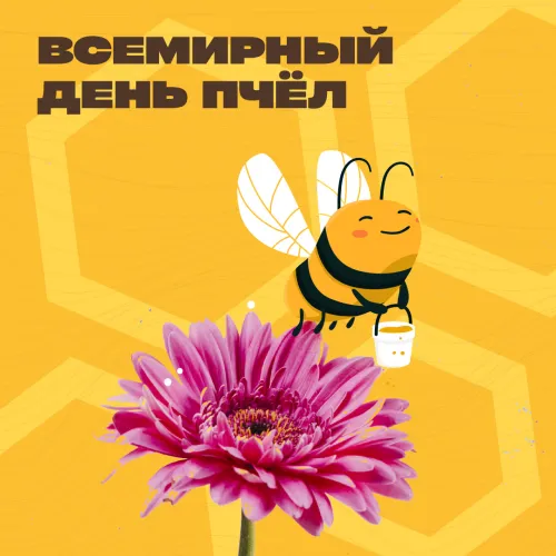 Красивые открытки с Днем пчёл