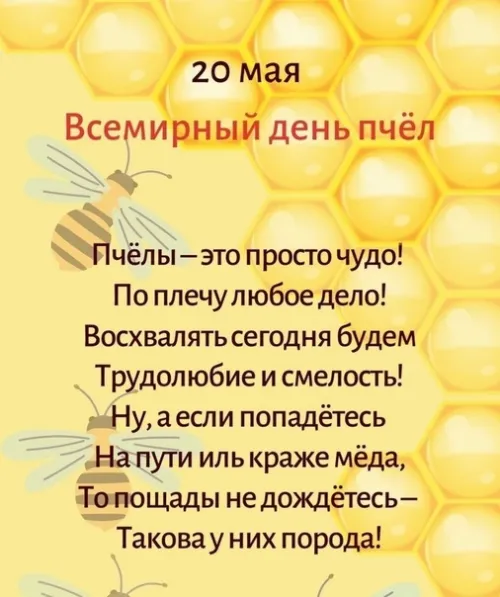 Красивые открытки с Днем пчёл