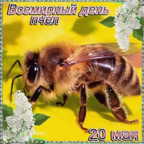 Красивые открытки с Днем пчёл
