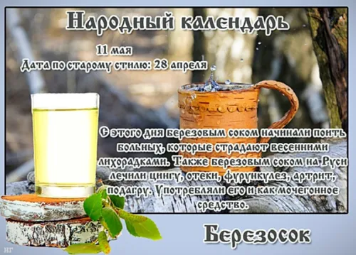 Красивые картинки на Березосок