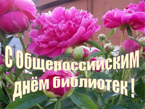 Красивые картинки с Днем библиотекаря