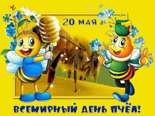 Красивые открытки с Днем пчёл
