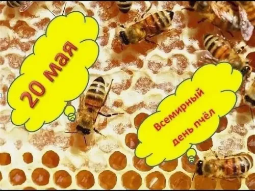 Красивые открытки с Днем пчёл