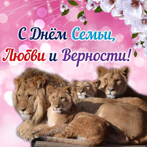 Красивые открытки с Днем семьи, любви и верности