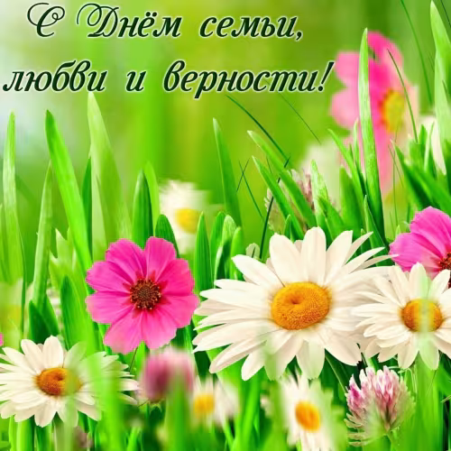 Красивые открытки с Днем семьи, любви и верности